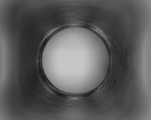 X0000086900155200704160954