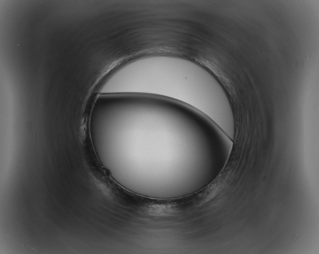 X0000086900160200704160954