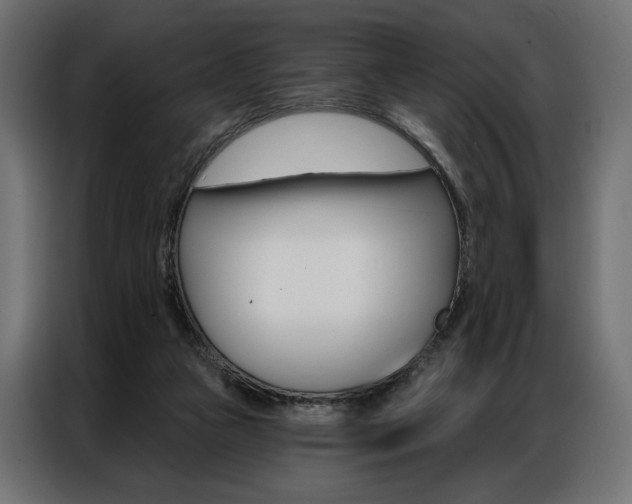 X0000086900161200704160954