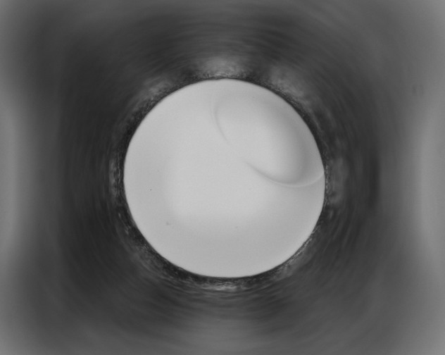 X0000086900162200704160954