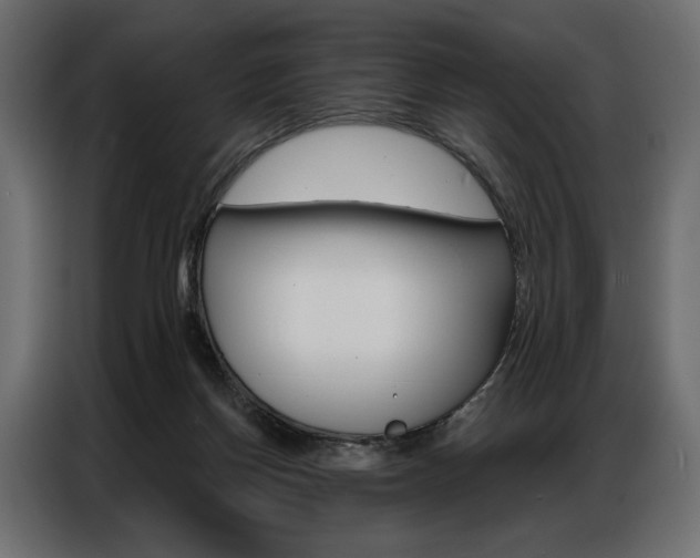 X0000086900166200704160955