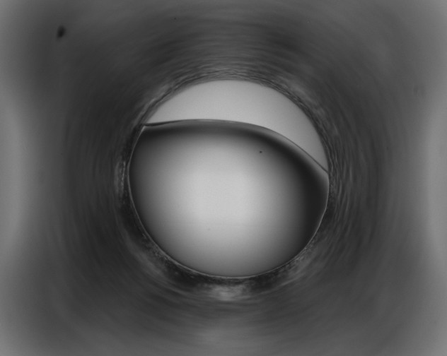 X0000086900168200704160955