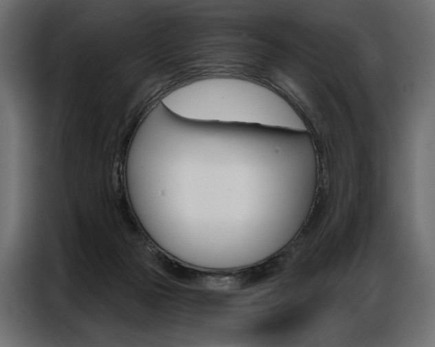 X0000086900169200704160955