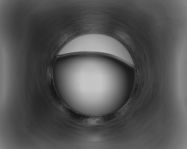 X0000086900172200704160955