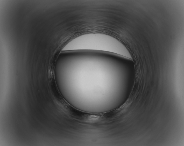 X0000086900176200704160955