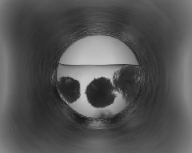 X0000086900177200704160955