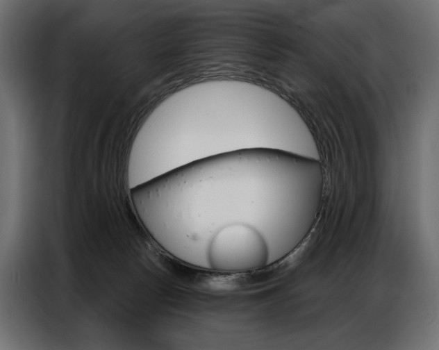 X0000086900178200704160955