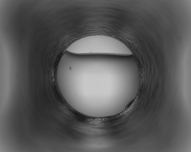 X0000086900182200704160955