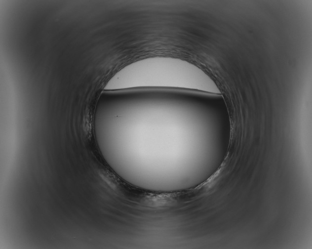 X0000086900186200704160955