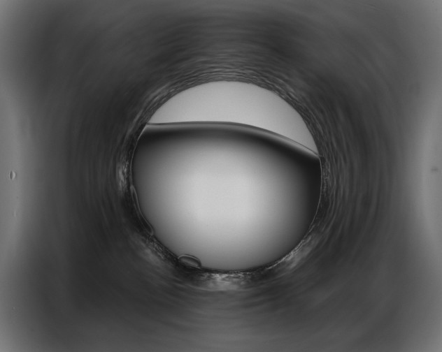 X0000086900188200704160955