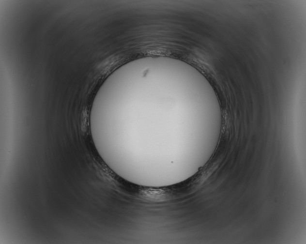 X0000086900189200704160955