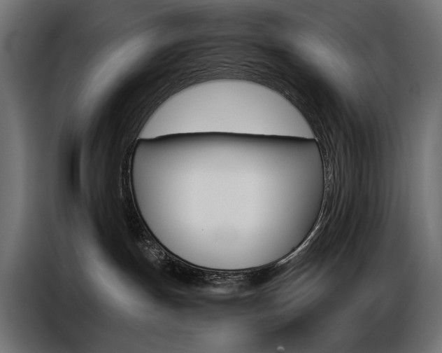 X0000086900191200704160955