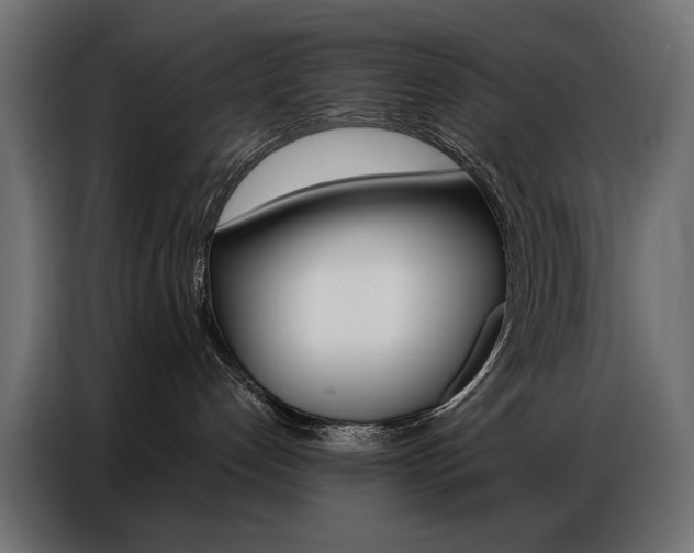X0000086900192200704160955