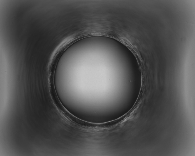 X0000086900197200704160954