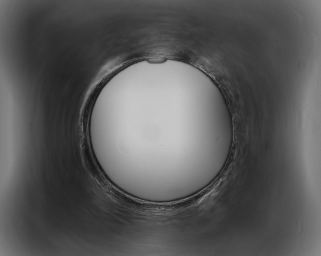 X0000086900198200704160954