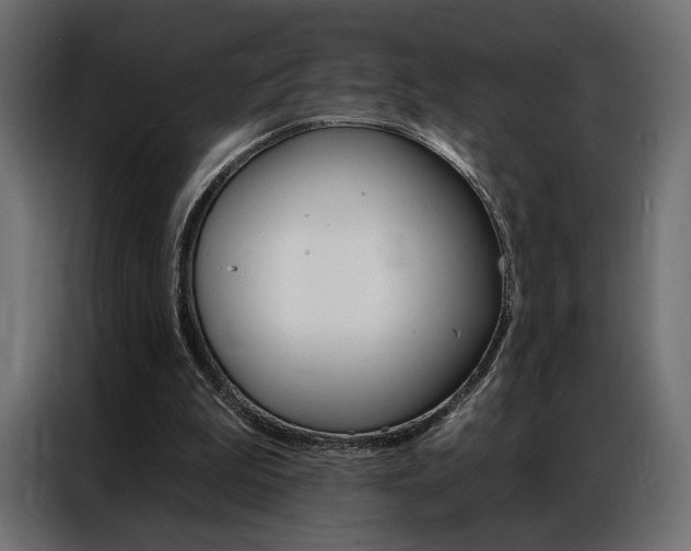 X0000086900199200704160954