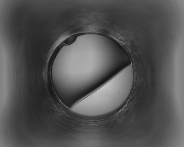 X0000086900200200704160954