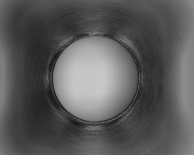 X0000086900202200704160954