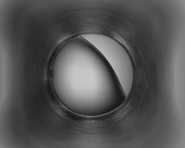 X0000086900203200704160954