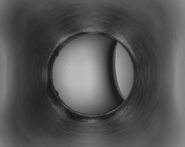 X0000086900204200704160954