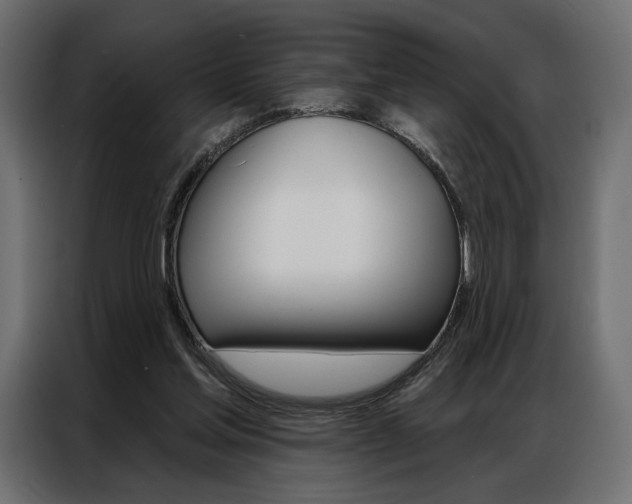 X0000086900205200704160954
