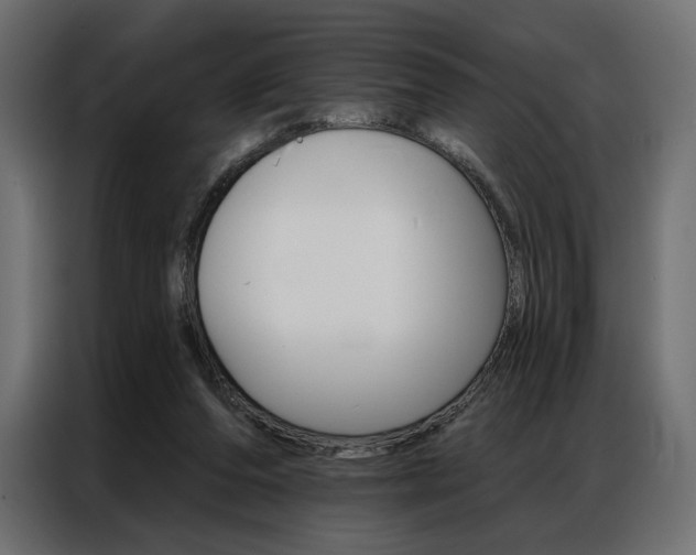 X0000086900208200704160954