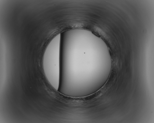X0000086900209200704160954