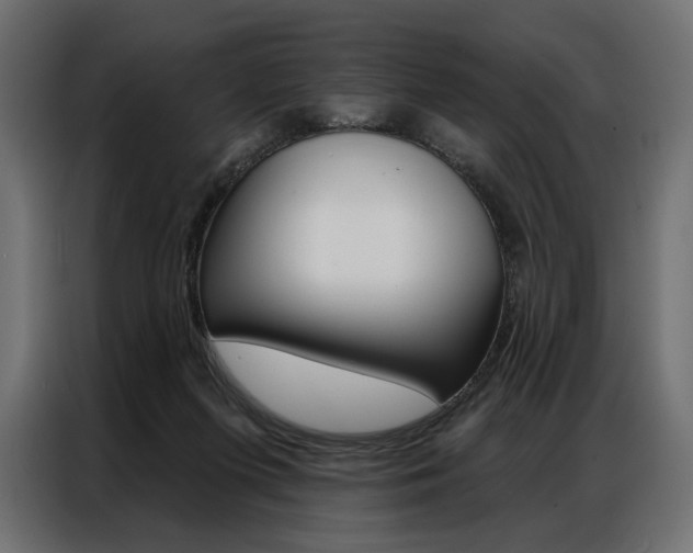 X0000086900215200704160954
