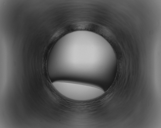 X0000086900216200704160954