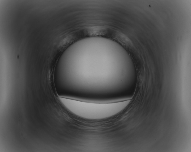 X0000086900219200704160954