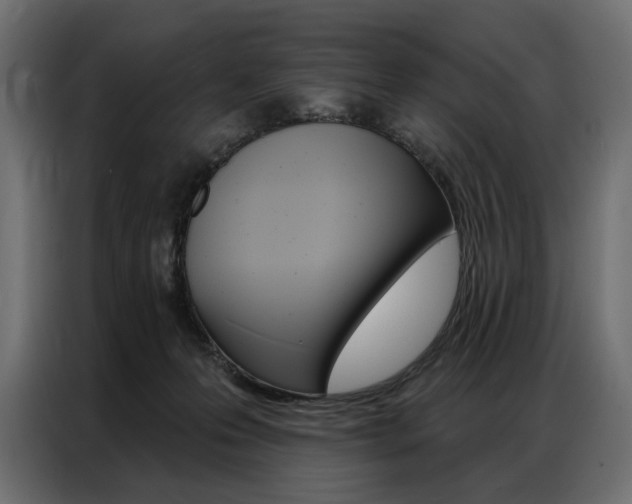 X0000086900223200704160954