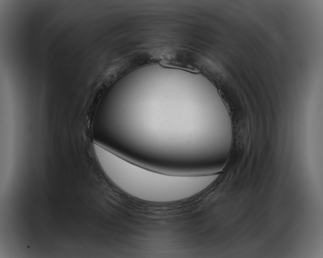 X0000086900229200704160954