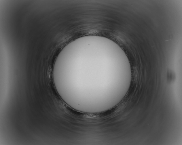 X0000086900230200704160954