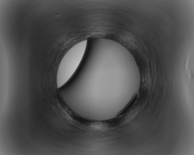 X0000086900231200704160954