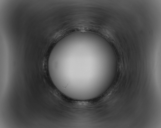 X0000086900233200704160954