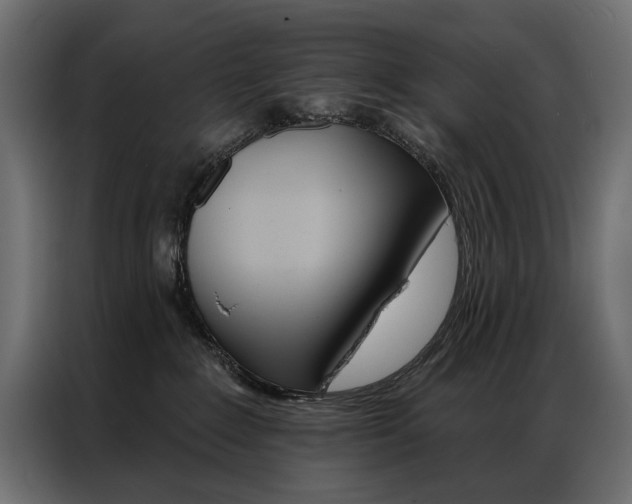 X0000086900235200704160954