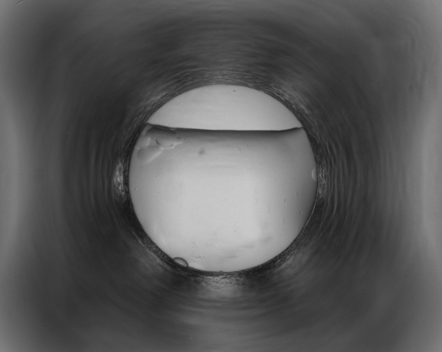 X0000086900238200704160954