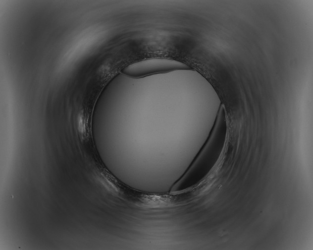 X0000086900239200704160954
