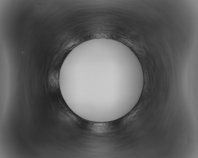 X0000086900240200704160954