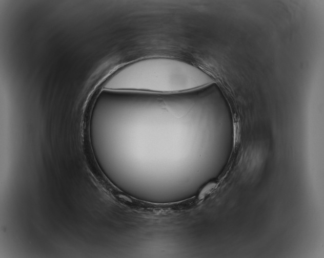 X0000086900243200704160953