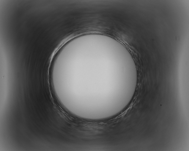 X0000086900244200704160953