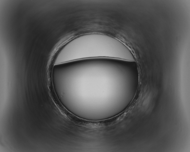 X0000086900245200704160953
