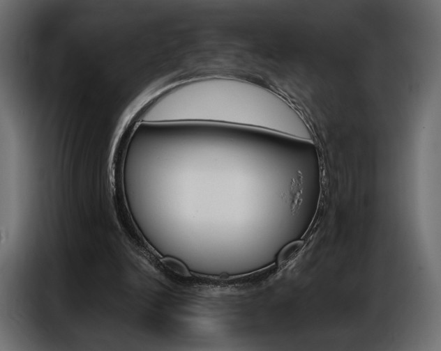 X0000086900246200704160953