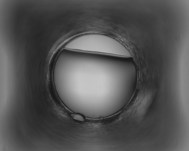 X0000086900247200704160953