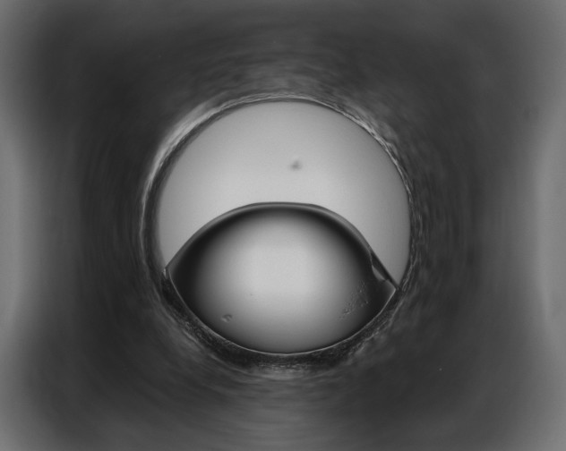 X0000086900248200704160953