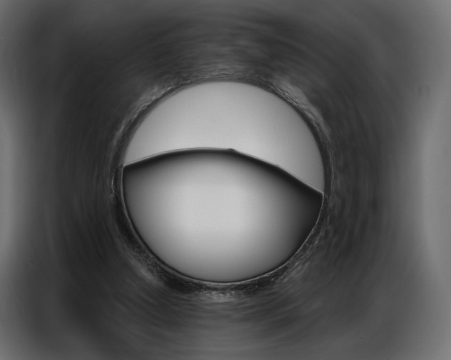 X0000086900250200704160953