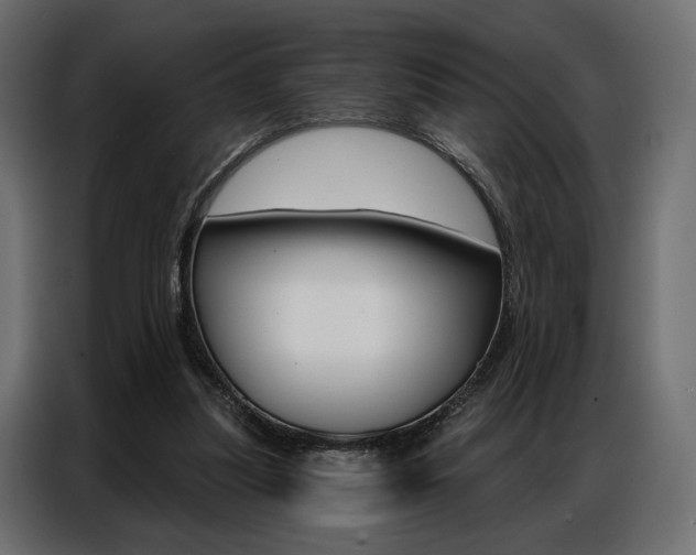 X0000086900251200704160953