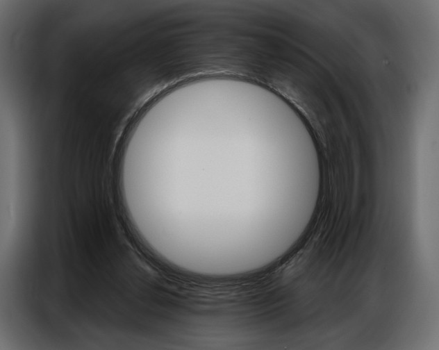 X0000086900252200704160953