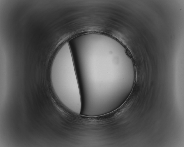 X0000086900253200704160953