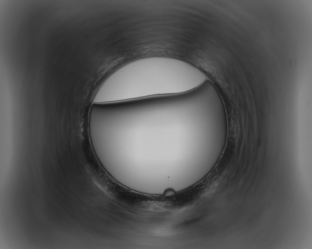 X0000086900255200704160953